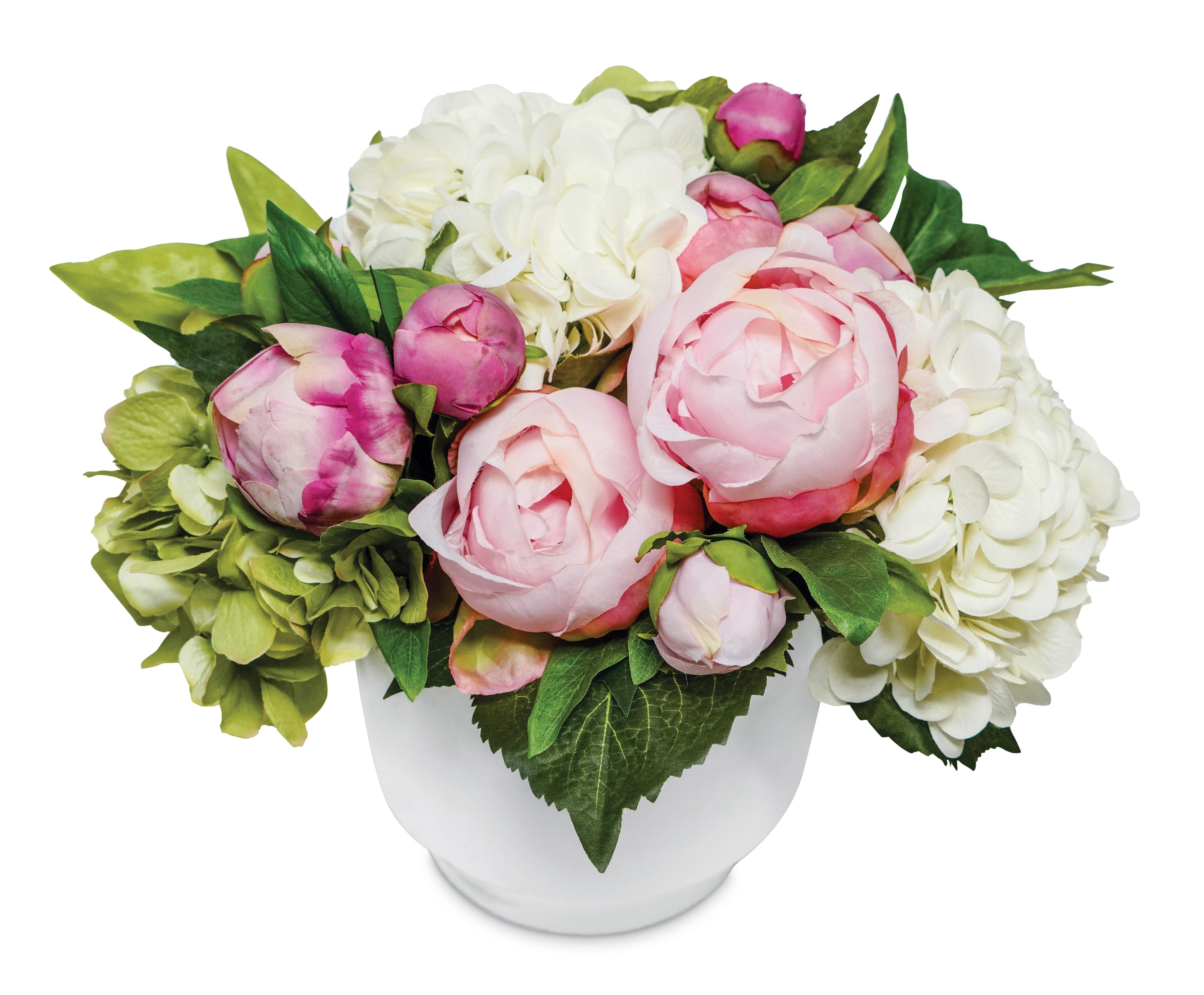 collection-banner-image
