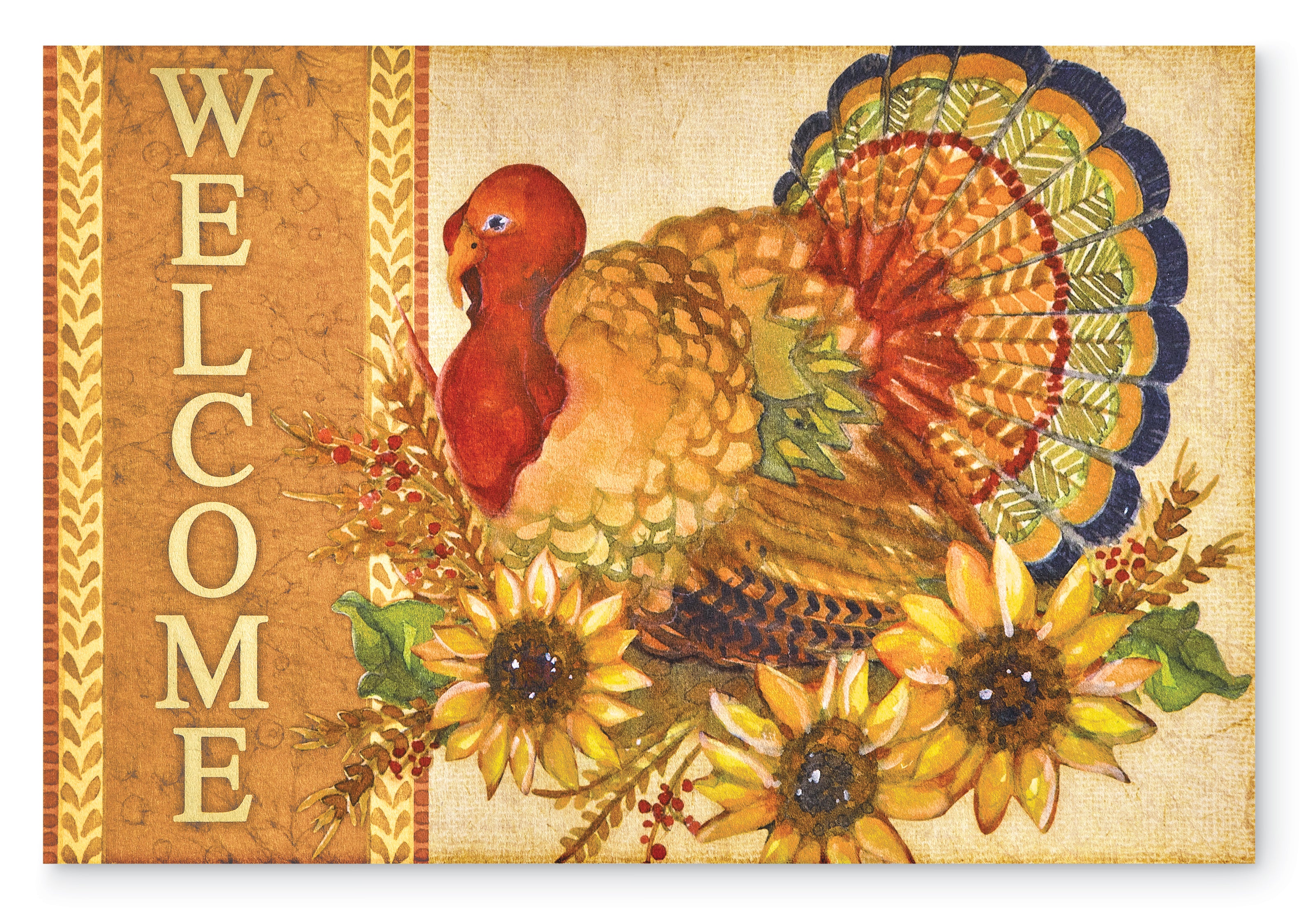 collection-banner-image